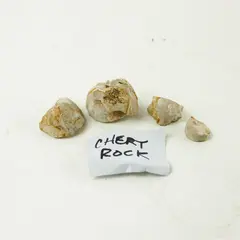 Chert Rock Microcrystalline Cryptocrystalline Silica 2in Display Specimen