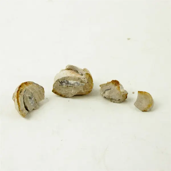 Chert Rock Microcrystalline Cryptocrystalline Silica 2in Display Specimen