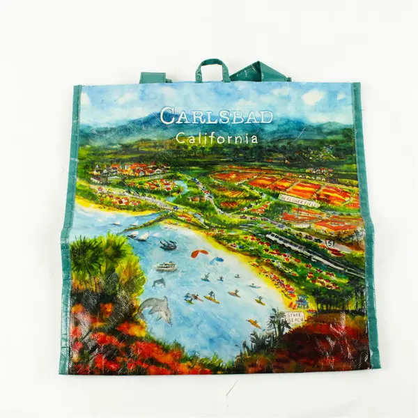 Lot of 3 Reusable Polypropylene Grocery Shopping Bags