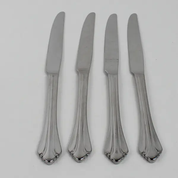 Lot of 4 Oneida Silver Gwendolyn Pattern 18/0 Stainless Dinner Knives 9.5"