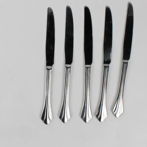 Lot of 5 Oneida Silver Gwendolyn Pattern 18/0 Stainless Dinner Knives 9.5"