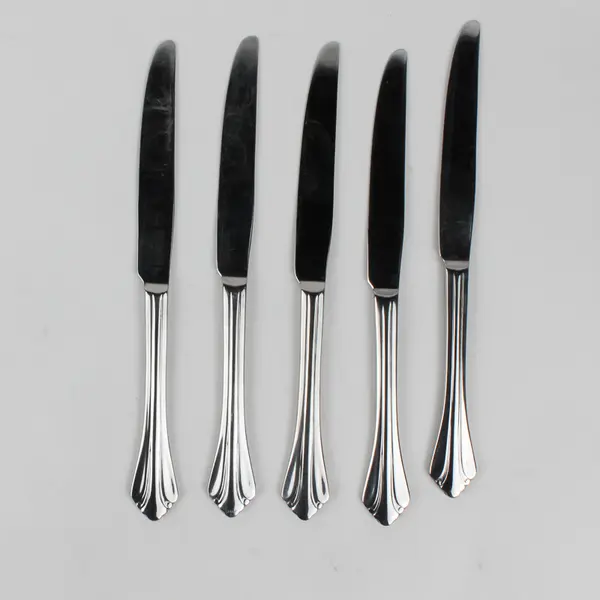 Lot of 5 Oneida Silver Gwendolyn Pattern 18/0 Stainless Dinner Knives 9.5"