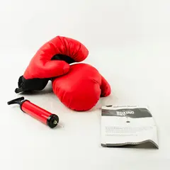Protocol Boxing Gloves & Pump Kickboxing Sparring Training Fitness Lightweight