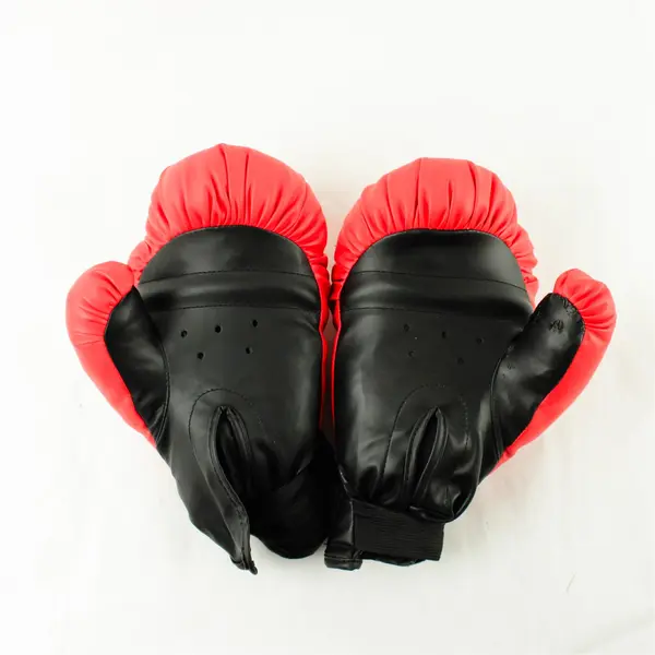 Protocol Boxing Gloves & Pump Kickboxing Sparring Training Fitness Lightweight