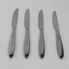 Lot of 4 Oneida Silver Unknown Pattern Stainless Dinner Knives 9.5" Long Good