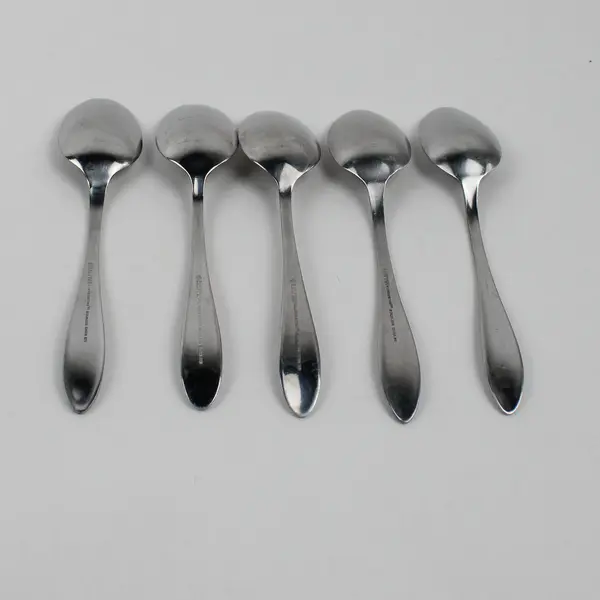 Lot of 5 Hampton Silversmiths Conifer Pattern 18/0 Stainless Teaspoons  6.5" HTF