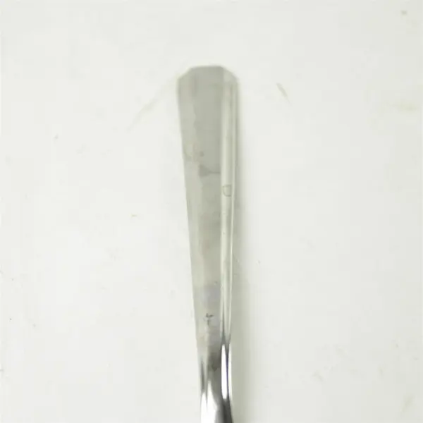 Oneida Avian Stainless Teaspoons Set of 5 Bird Handle Pre-Owned