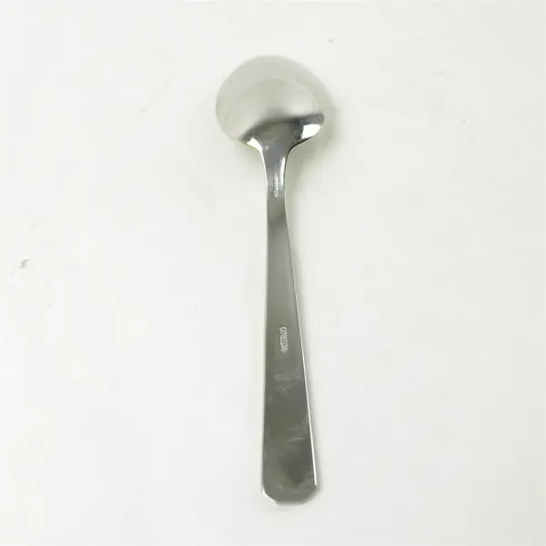 Lot of 5 Oneida Avian Stainless Teaspoons + 1 Dinner Fork Used