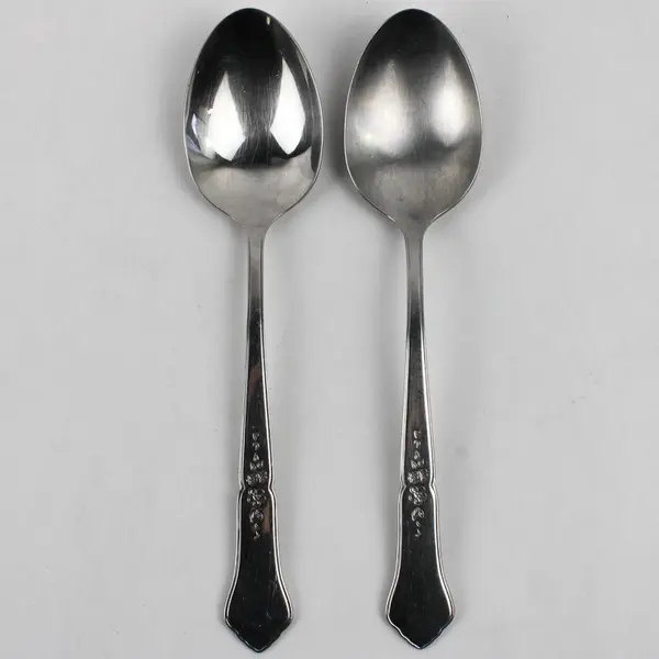 Lot of 2 Oneida Silver Gazebo Pattern Stainless Serving Spoons 8.5" 