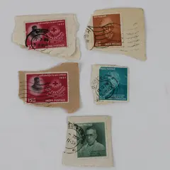 Lot Of 5 India 15nP Stamps Used On Paper Red Cross 1957 Famous Figures 1958
