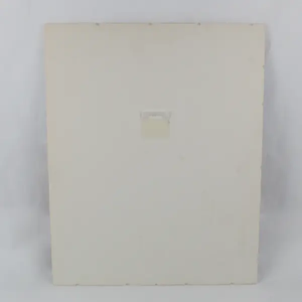 NASA Space Shuttle Challenger Launch 1983 Photo Unframed Board Mounted Poster