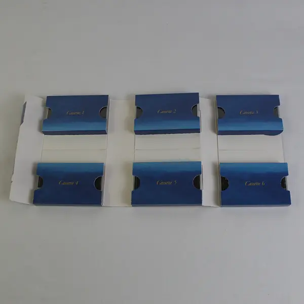 Taking Lottie, Home By Terry Kay Read By Buck Schirner (Audio Book, 6 Cassettes)