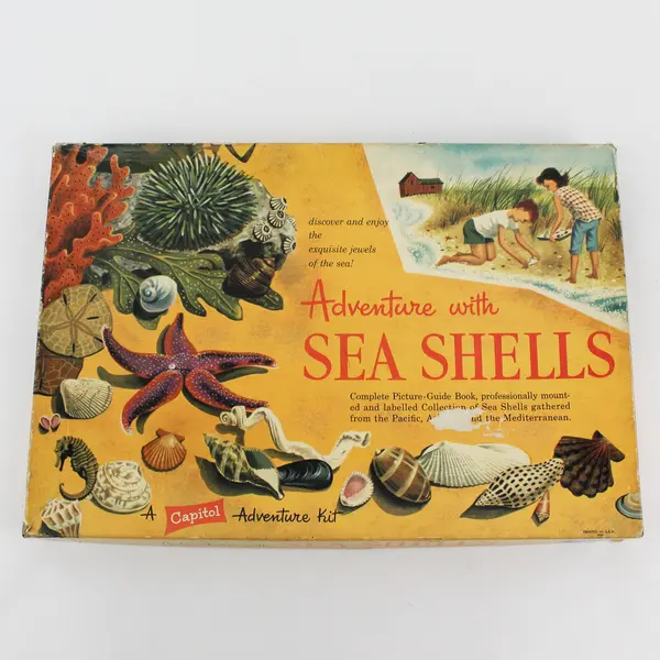 Vintage 1957 Adventure With Sea Shells A Capitol Adventure Kit And Book