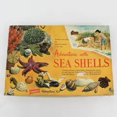 Vintage 1957 Adventure With Sea Shells A Capitol Adventure Kit And Book