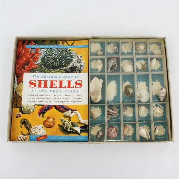 Vintage 1957 Adventure With Sea Shells A Capitol Adventure Kit And Book