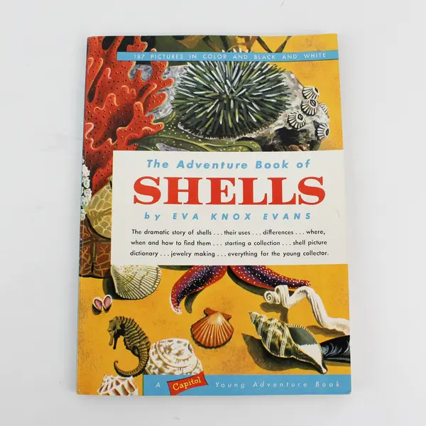 Vintage 1957 Adventure With Sea Shells A Capitol Adventure Kit And Book