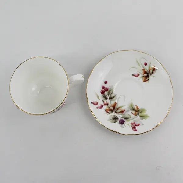Duchess Bone China Berry And Acorn Cup and Saucer Set