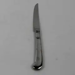 Pfaltzgraff PFF33 Pattern 18/8 Stainless Pistol Handle Steak Knife 9" Rare