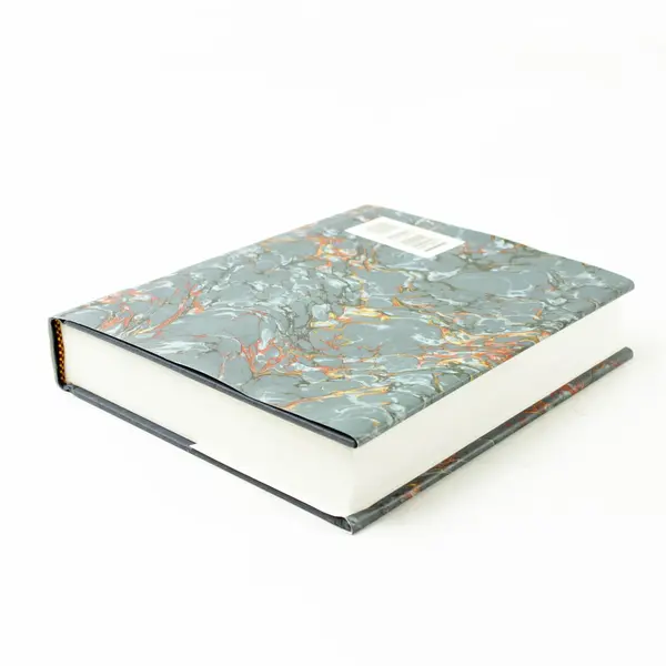 Campaigning with Grant Horace Porter Hardcover