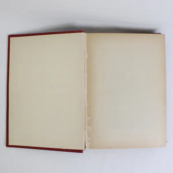 Antique Theodore Roosevelt Patriot And Statesman Robert Meyers 1902 HC 1st Ed