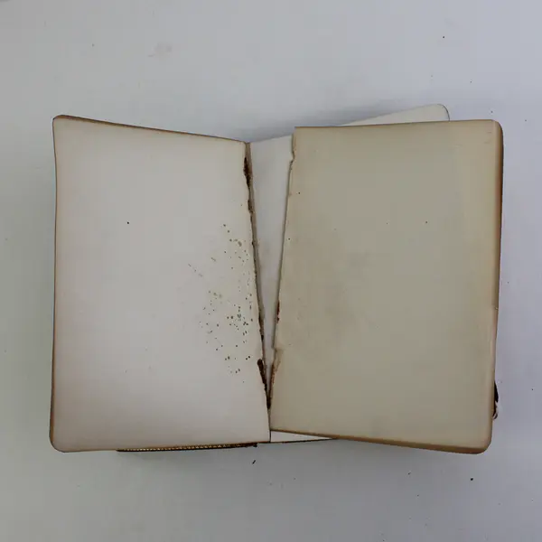 Antique Book The Poetical Works of Jean Ingelow 1887 1st Edition Leather Cover