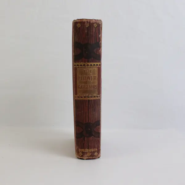 Uncle John's Flower-Gatherers Jane Jay Fuller Woods & Fields Companion 1869 HC
