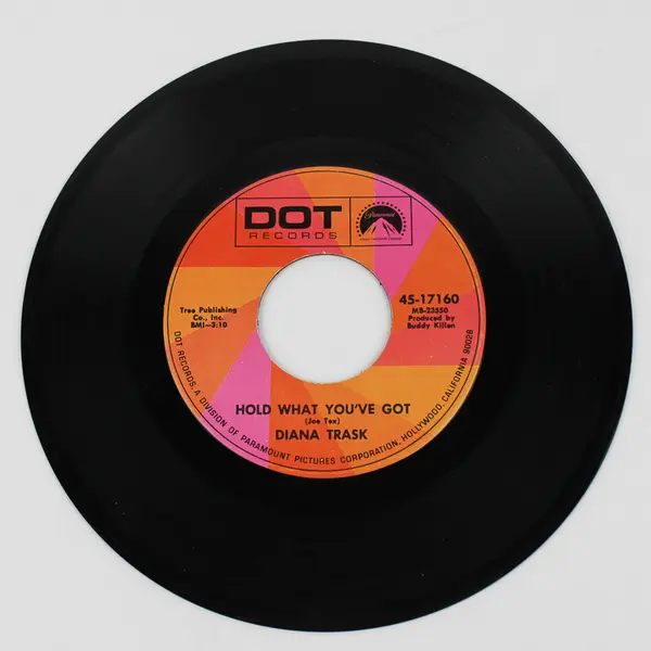 DIANA TRASK: This Heart Was Made for Lovin' / Hold What You've Got DOT 7" Single