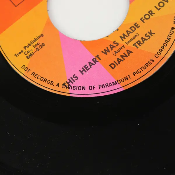 DIANA TRASK: This Heart Was Made for Lovin' / Hold What You've Got DOT 7" Single