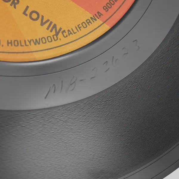 DIANA TRASK: This Heart Was Made for Lovin' / Hold What You've Got DOT 7" Single