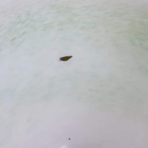 Hand-Blown Mottled Jade Green Glass Pedestal Bowl 6" Diameter