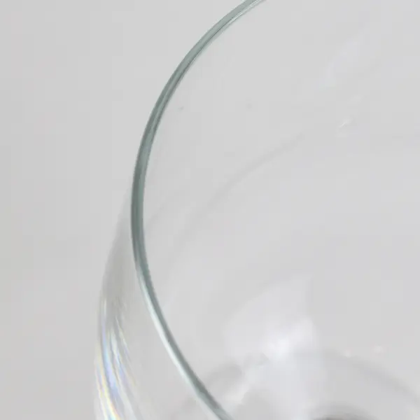 The Tasting Room Carlton Oregon Clear Wine Glass