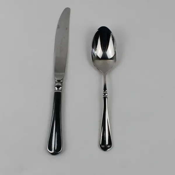 Lot Of 2 Mikasa French Countryside Pattern 18/10 SS 1 Dinner Knife 1 Soup Spoon