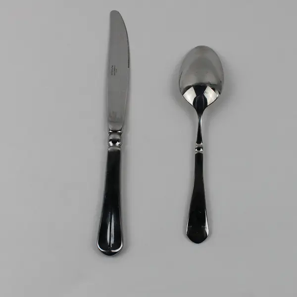 Lot Of 2 Mikasa French Countryside Pattern 18/10 SS 1 Dinner Knife 1 Soup Spoon