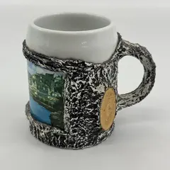 Lilien Porcelain Tree Branch Pattern Salzburg Souvenir Coffee Mug