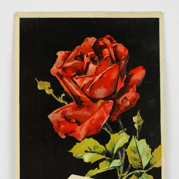 Vintage Loving Birthday Greetings Rose Postcard 1910 St Louis Missouri 