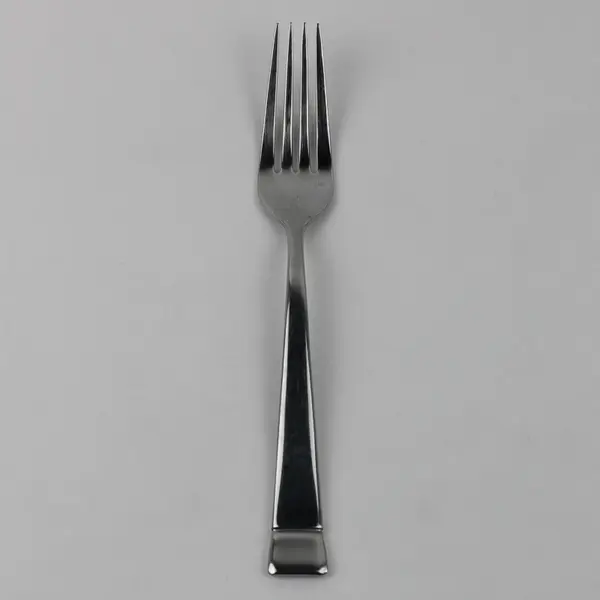 Oneida Silver OHS402 Pattern Stainless Dinner Fork 8" Long Rare Piece