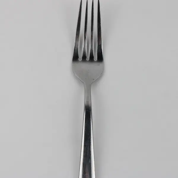 Oneida Silver OHS402 Pattern Stainless Dinner Fork 8" Long Rare Piece