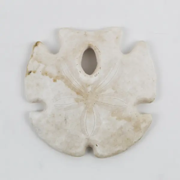 3.5" Keyhole Arrowhead Sand Dollar Seashell Crafts Collection