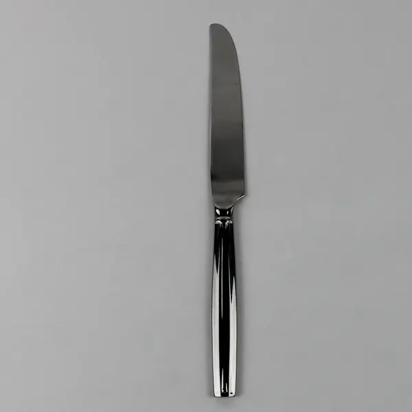 Oneida Silver OHS407 Pattern Stainless Dinner Knife 9.5" Very Rare Hard-to-Find