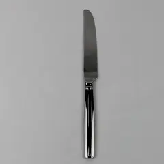 Oneida Silver OHS407 Pattern Stainless Dinner Knife 9.5" Very Rare Hard-to-Find