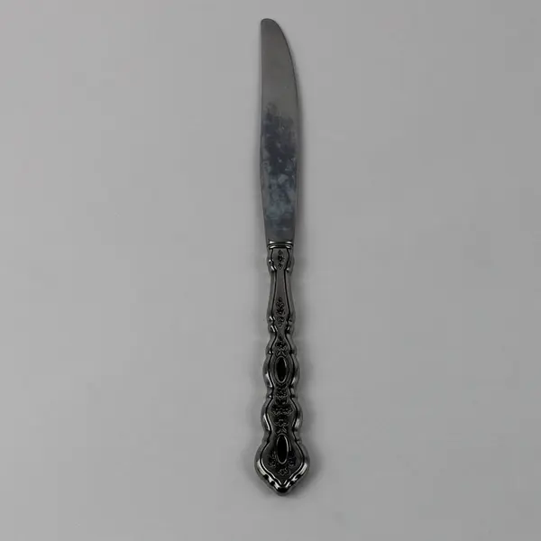 Oneida Silver Fantasy Pattern Stainless Dinner Knife 9" Long Rare