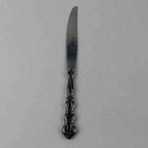 Oneida Silver Fantasy Pattern Stainless Dinner Knife 9" Long Rare