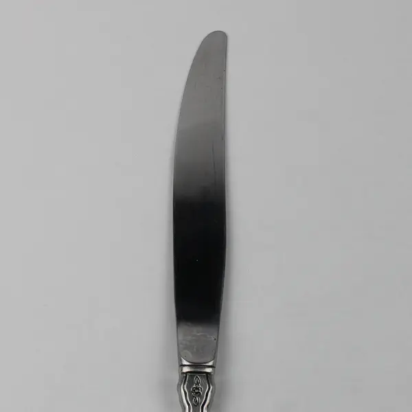 Oneida Silver Fantasy Pattern Stainless Dinner Knife 9" Long Rare