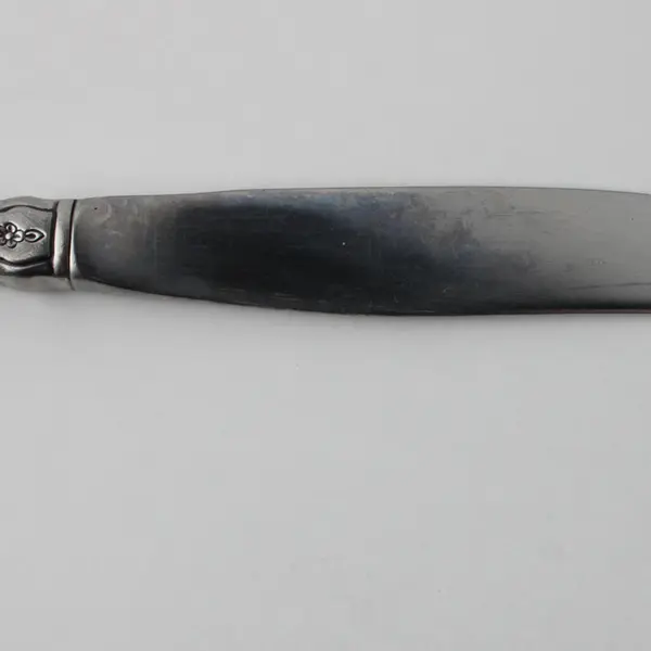Oneida Silver Fantasy Pattern Stainless Dinner Knife 9" Long Rare