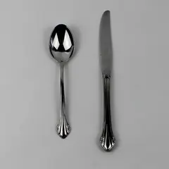 Lot of 2 Oneida Silver Bittersweet Pattern Stainless 1 Soup Spoon 1 Dinner Knife