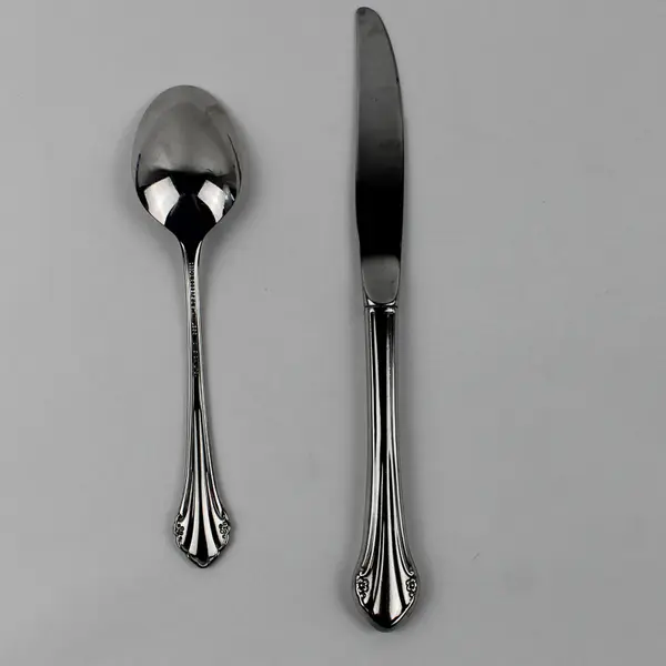 Lot of 2 Oneida Silver Bittersweet Pattern Stainless 1 Soup Spoon 1 Dinner Knife