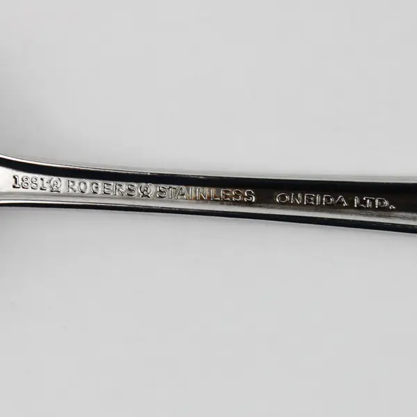 Lot of 2 Oneida Silver Bittersweet Pattern Stainless 1 Soup Spoon 1 Dinner Knife