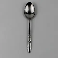 Oneida Silver Floral Glen Pattern Stainless Oval Shaped Soup Spoon 6.75" Good