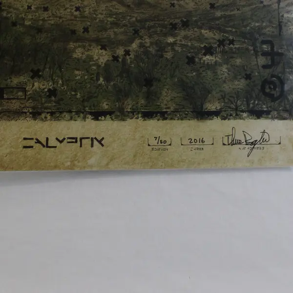 Calyptix Art Print 2016 7/50 Patterntology - 17"x11"