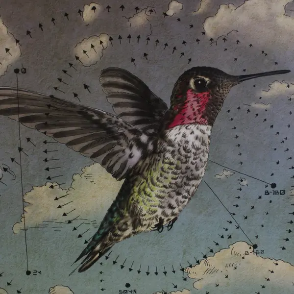 Calyptix Art Print 2016 7/50 Patterntology - 17"x11"